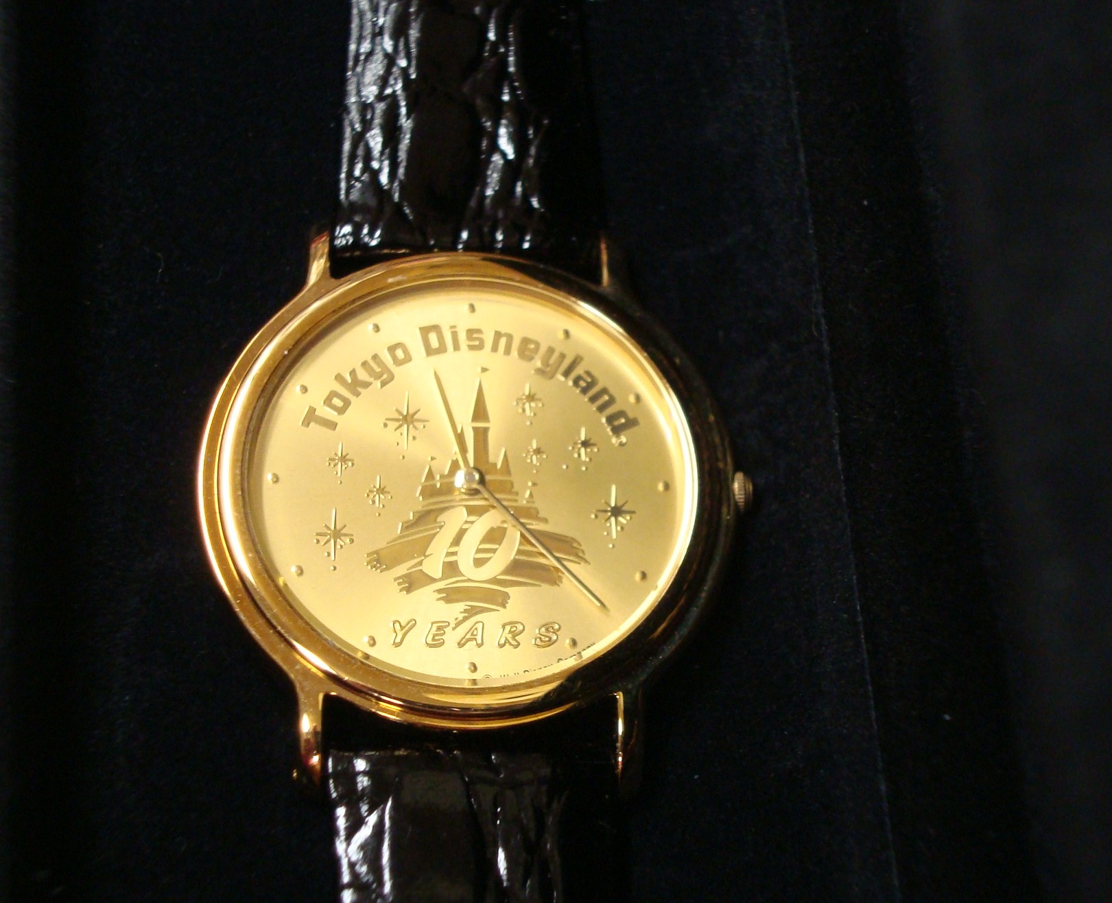 東京ディズニーランド１０周年記念腕時計器やブログ | 器やブログ